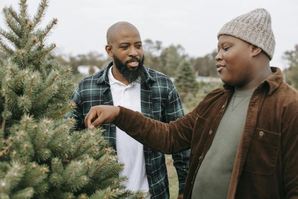 Smiling black dad talking to son touching needles of spruce